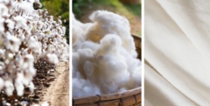 What is brushed cotton?