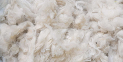 Merino wool: the perfect blend of warmth and elegance